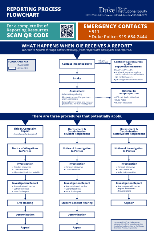 Reporting Process Flowchart